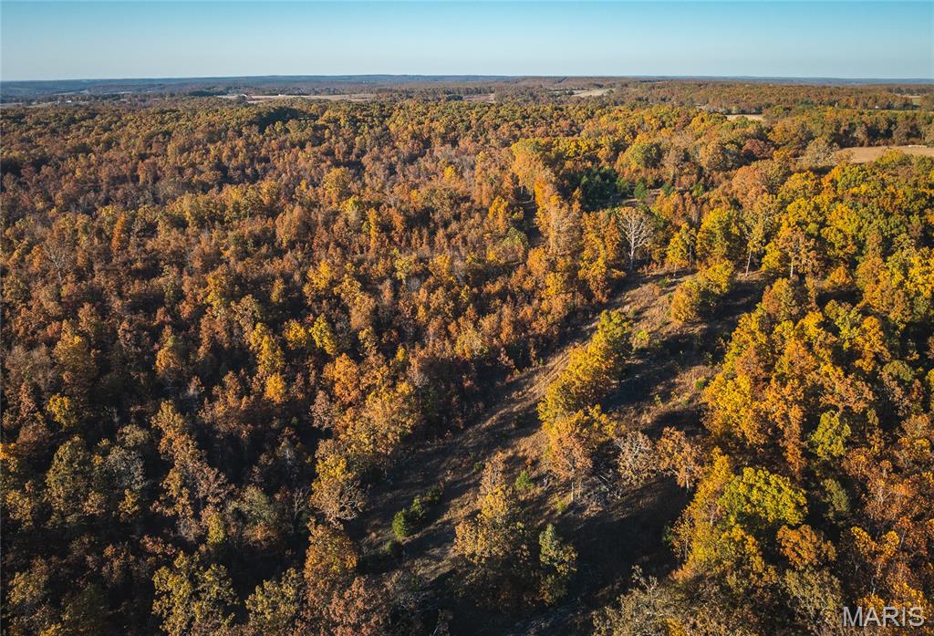 6601 County Line Road Graff, MO 65660 - Photo 5 of 60