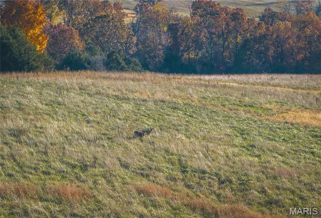 $850,000 | 6601 County Line Road, Graff, MO 65660