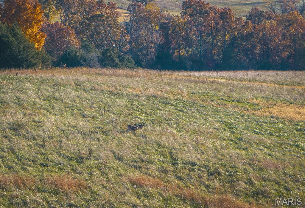 6601 County Line Road Graff, MO 65660 - Photo 52 of 60