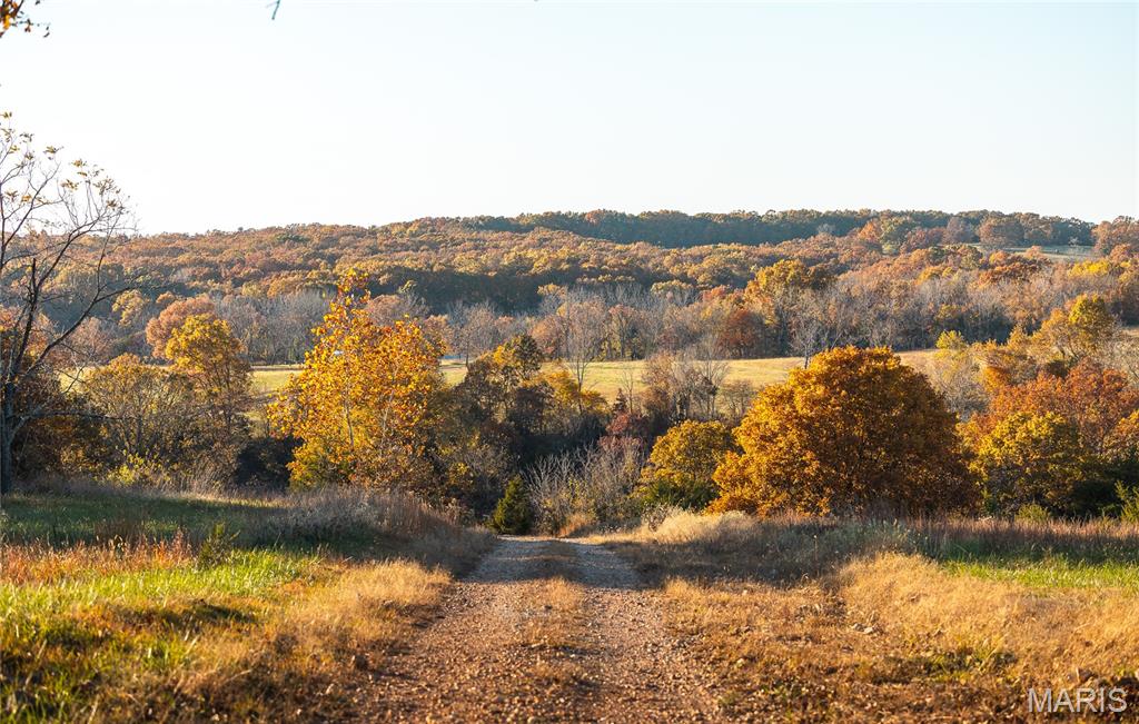 6601 County Line Road Graff, MO 65660 - Photo 57 of 60