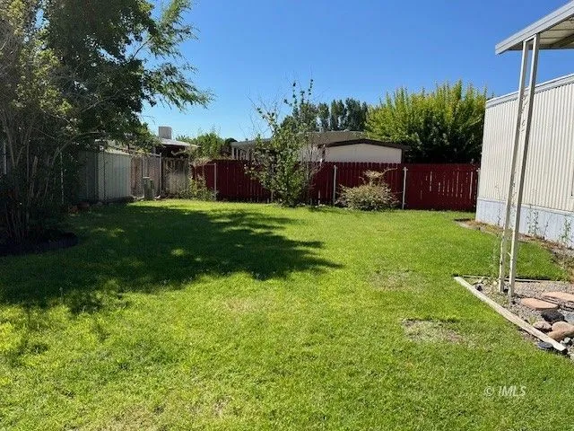 a view of a backyard with potted plants and a large tree