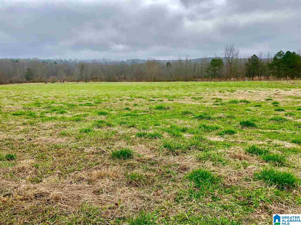 4838 Pleasant Valley Road Ashville, AL 35953 - Photo 46 of 50