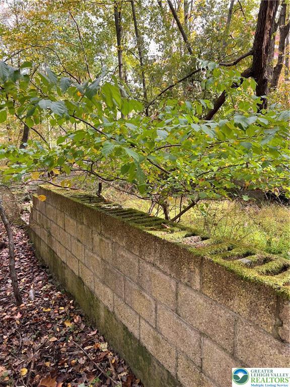 a view of a yard with plants and wooden fence