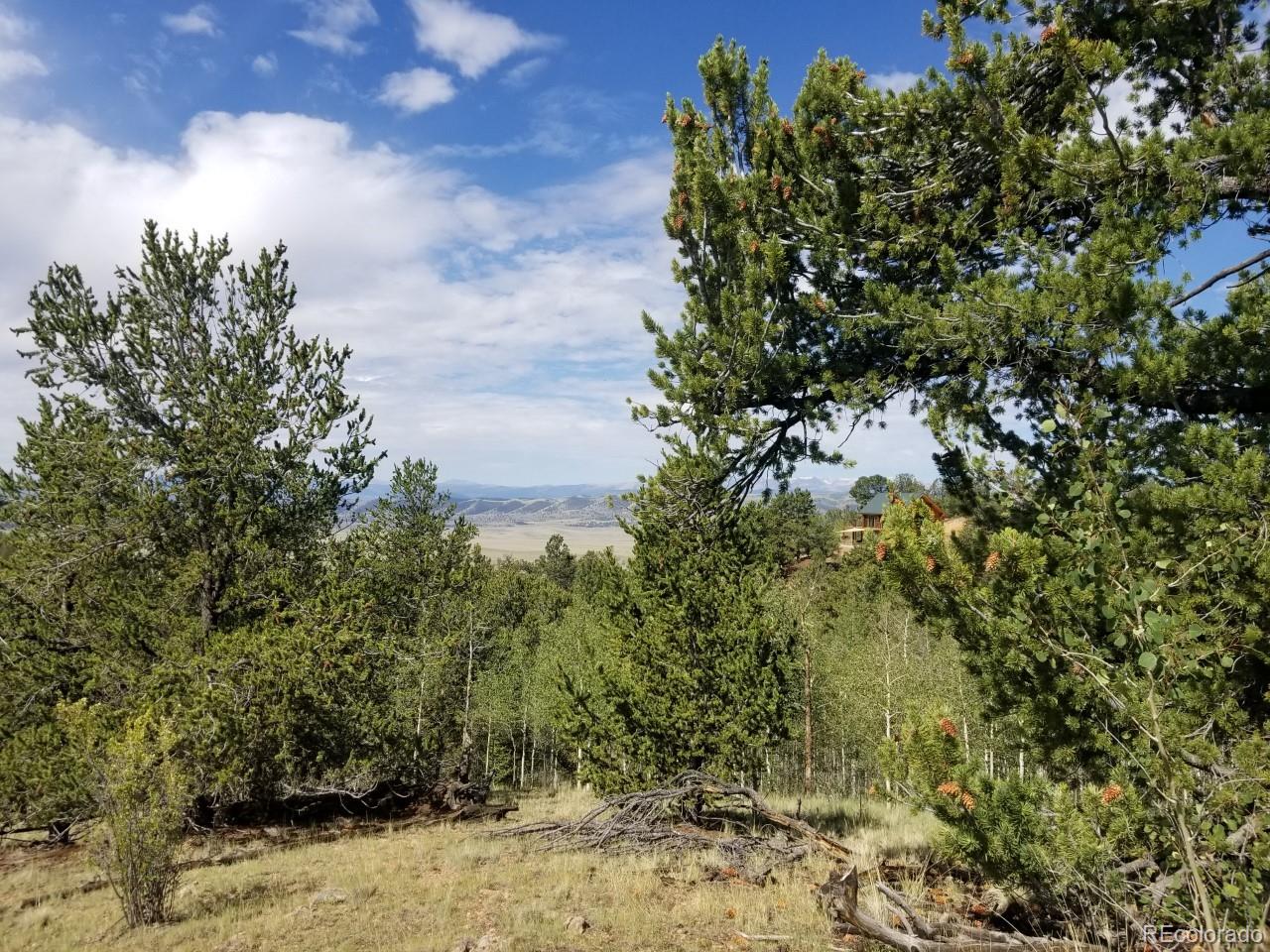 1018 Osprey Road Como, CO 80432 - Photo 13 of 13 a view of a tree with lots of bushes