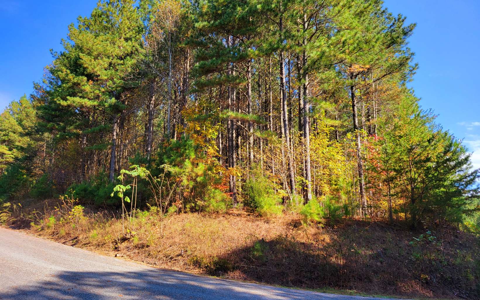 Lot 7 Ridge Top Drive Ellijay, GA 30536 - Photo 11 of 23 Additional View