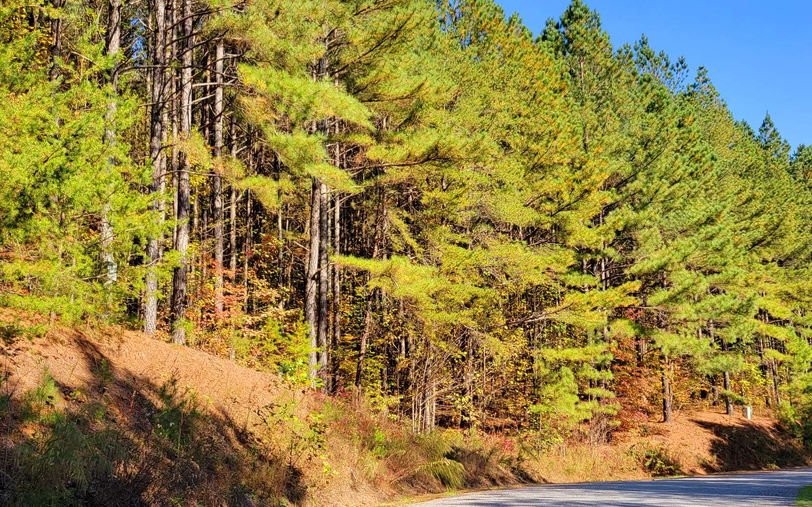 Lot 7 Ridge Top Drive Ellijay, GA 30536 - Photo 12 of 23 Additional View