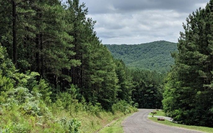 Lot 7 Ridge Top Drive Ellijay, GA 30536 - Photo 16 of 23 Additional View
