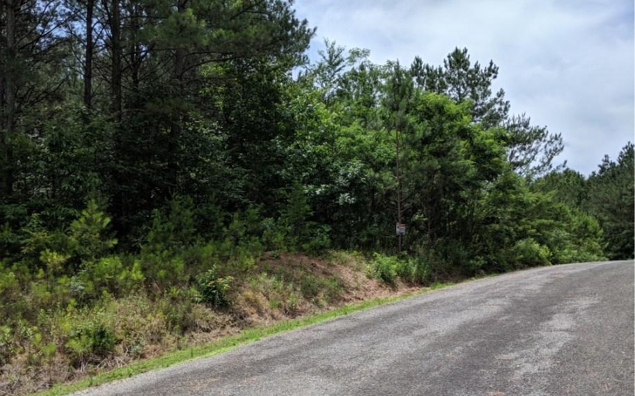 Lot 7 Ridge Top Drive Ellijay, GA 30536 - Photo 18 of 23 Additional View
