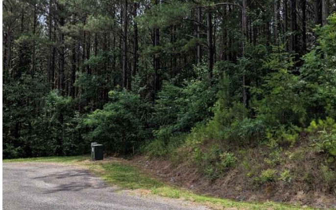 Lot 7 Ridge Top Drive Ellijay, GA 30536 - Photo 19 of 23 Additional View