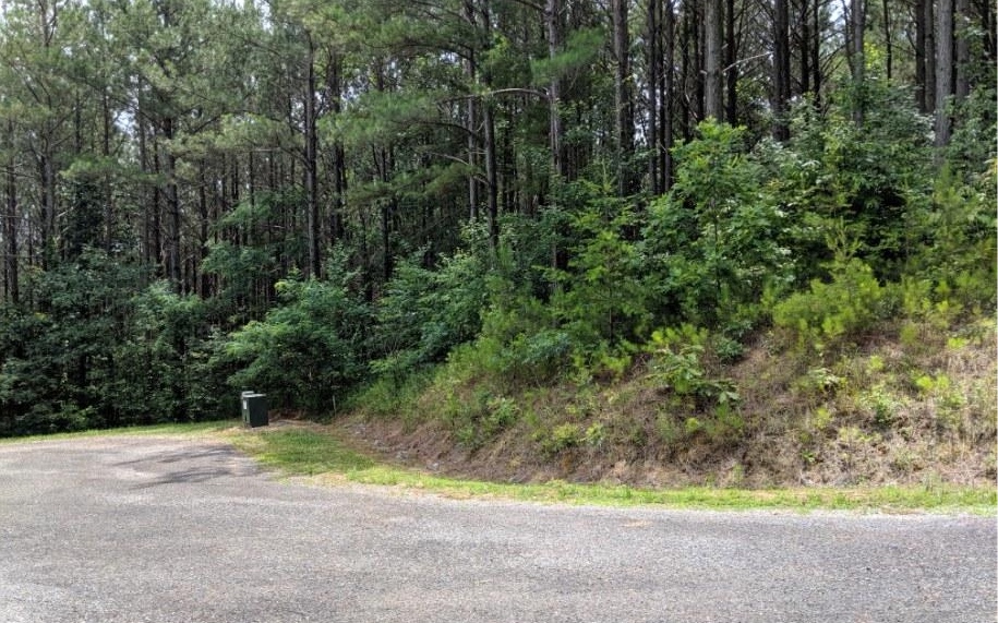 Lot 7 Ridge Top Drive Ellijay, GA 30536 - Photo 20 of 23 Additional View