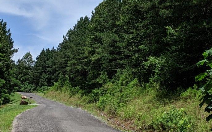 Lot 7 Ridge Top Drive Ellijay, GA 30536 - Photo 21 of 23 Additional View