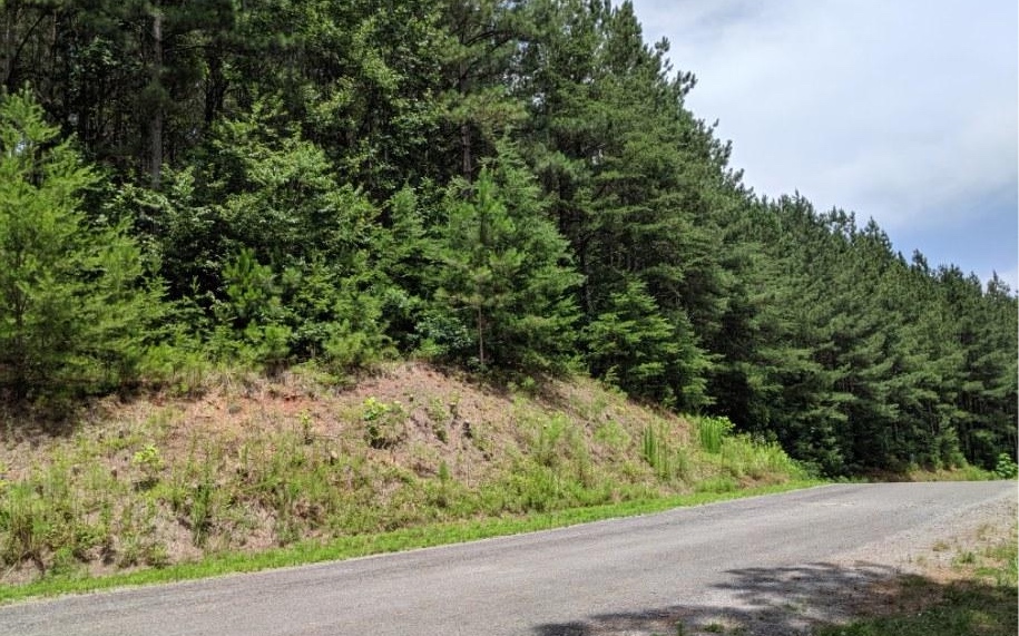Lot 7 Ridge Top Drive Ellijay, GA 30536 - Photo 22 of 23 Additional View