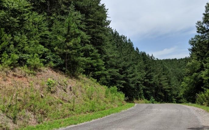 Lot 7 Ridge Top Drive Ellijay, GA 30536 - Photo 23 of 23 Additional View