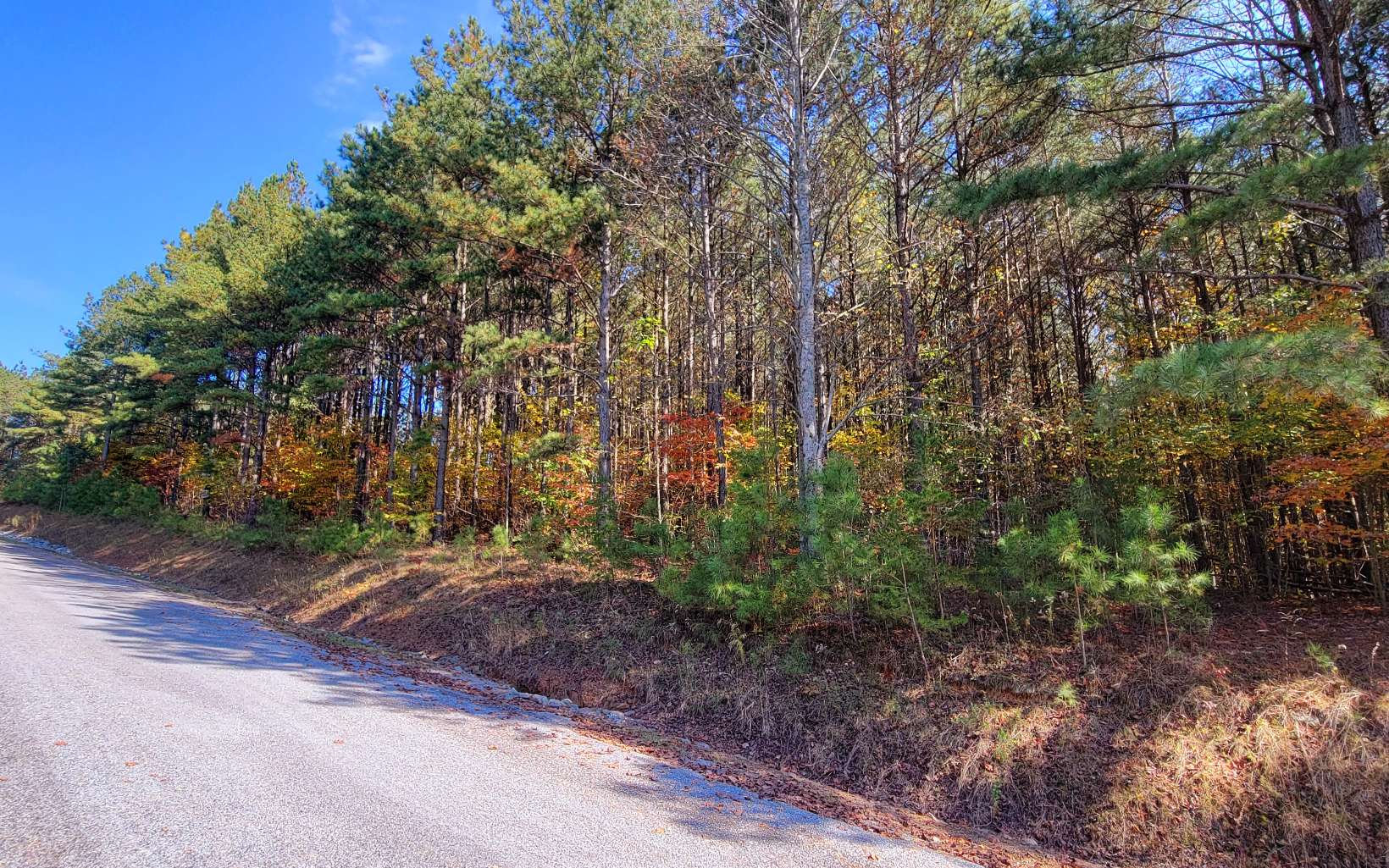 Lot 7 Ridge Top Drive Ellijay, GA 30536 - Photo 9 of 23 Additional View
