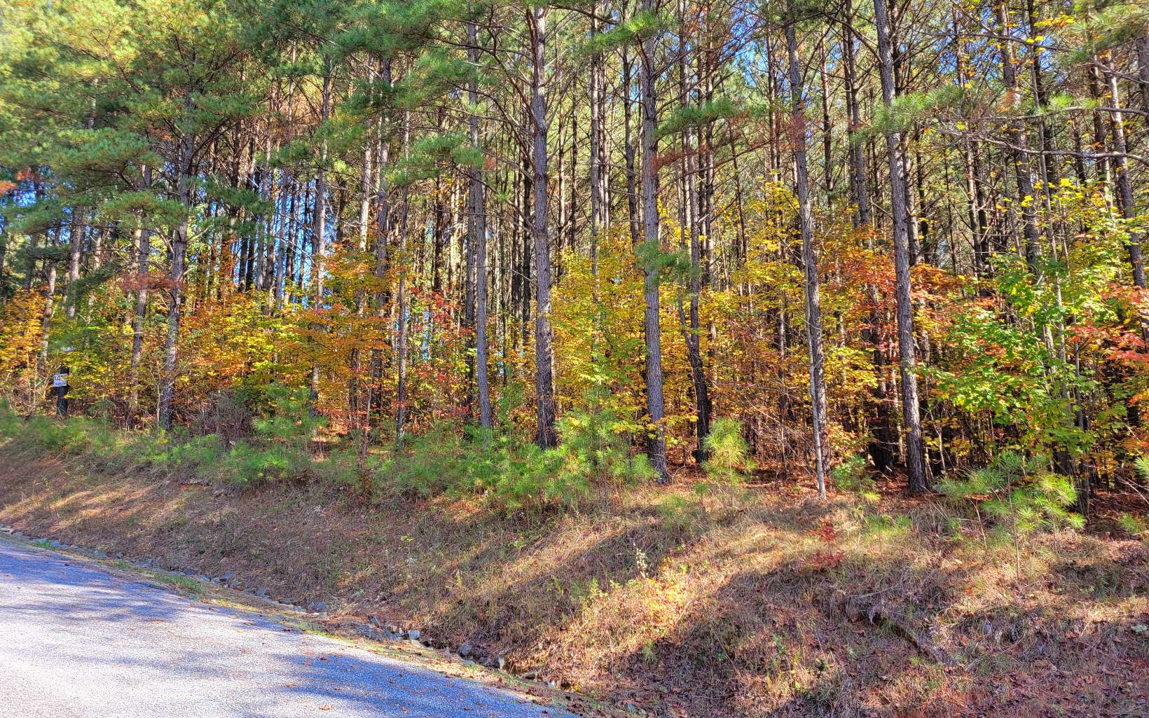 Lot 7 Ridge Top Drive Ellijay, GA 30536 - Photo 10 of 23 Additional View