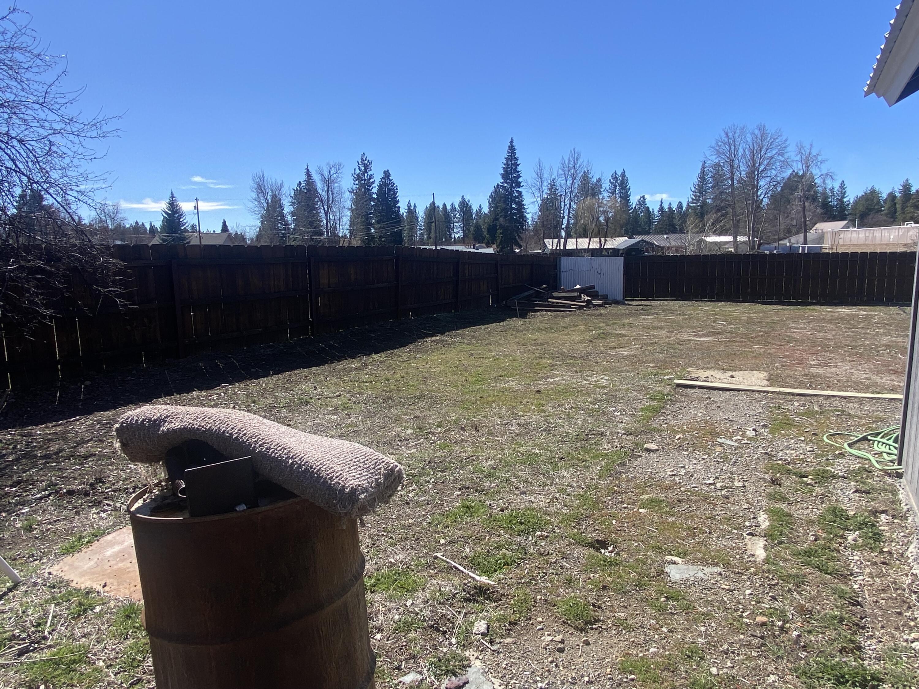 230 Myrtle Street Chester, CA 96020 - Photo 8 of 10 Back yard South Side