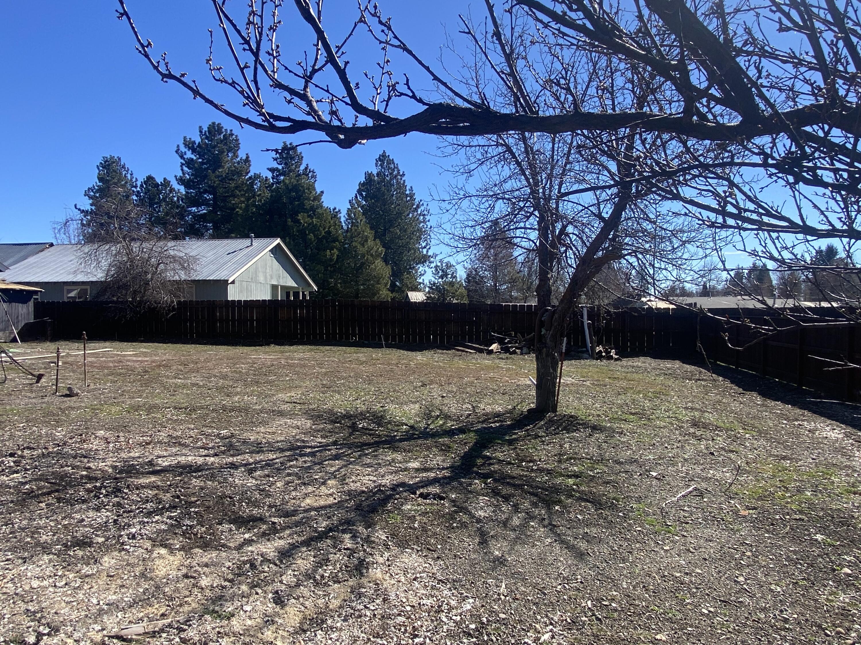 230 Myrtle Street Chester, CA 96020 - Photo 9 of 10 Back yard South West side