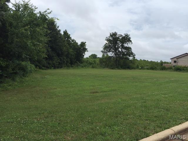 0 Progress Drive, Unit LOT 1 Sullivan, MO 63080 - Photo 9 of 14