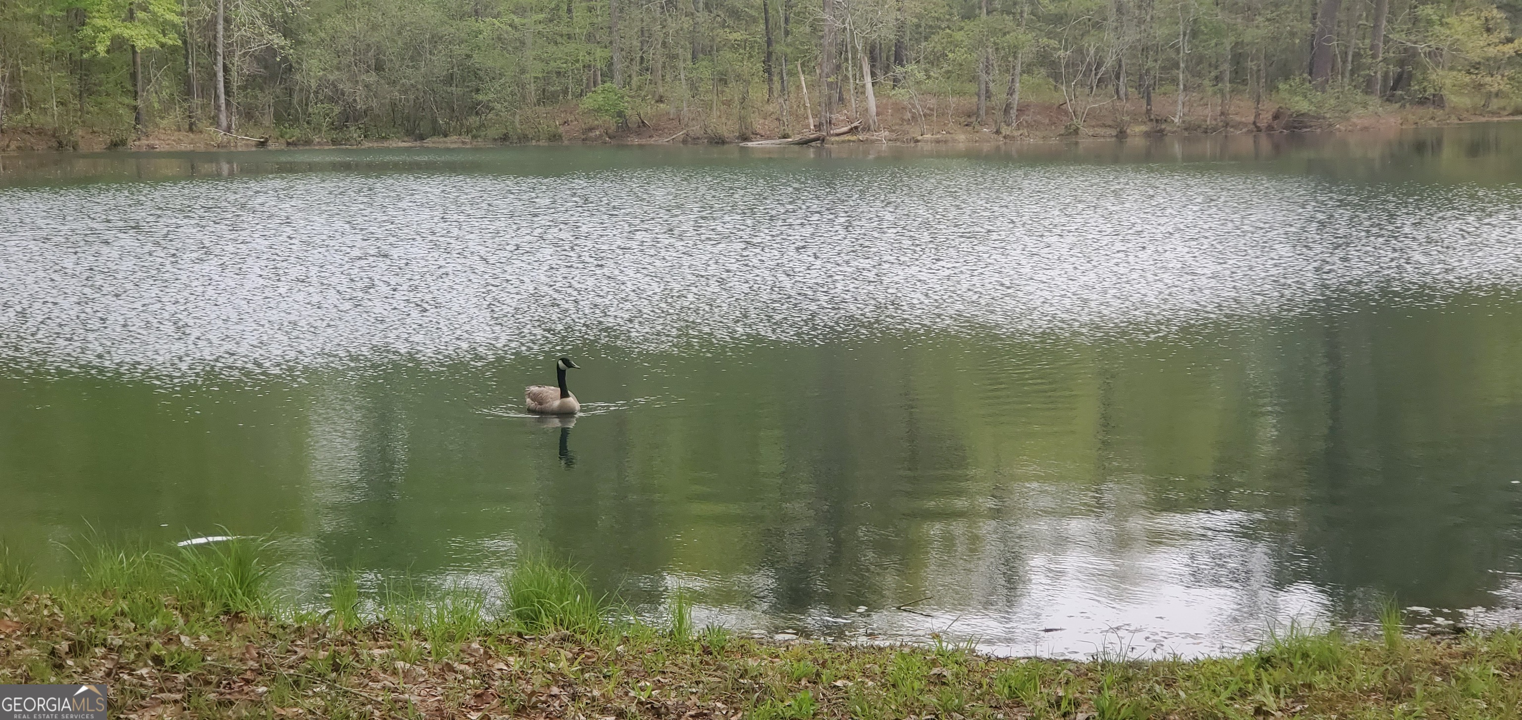 384 Enon Grove Road Franklin, GA 30217 - Photo 10 of 118