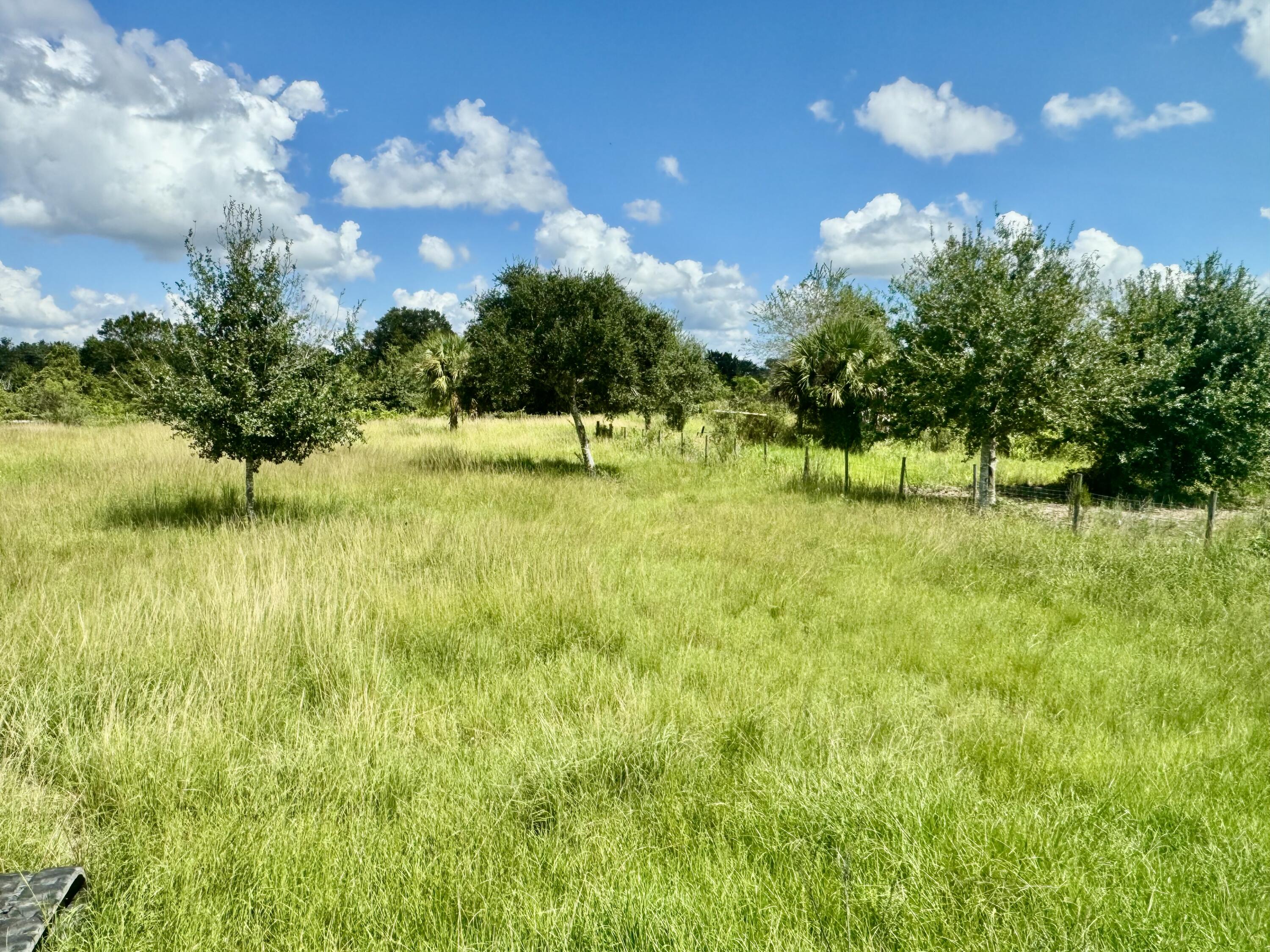 14615 Northwest 246th Street Okeechobee, FL 34972 - Photo 22 of 25 IMG_3203