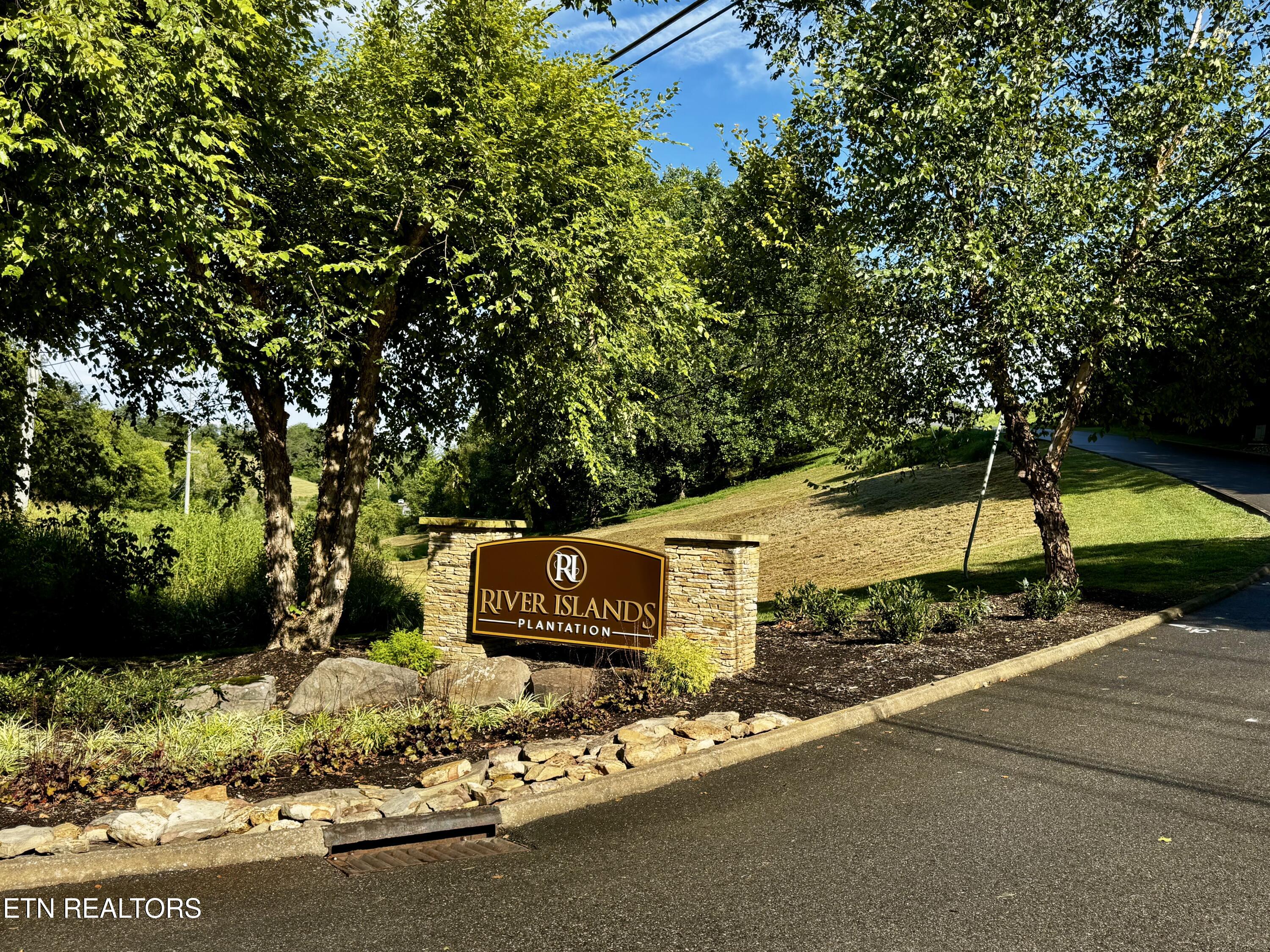 Lot 207 Clyde Ed Road Kodak, TN 37764 - Photo 5 of 13 IMG_4002