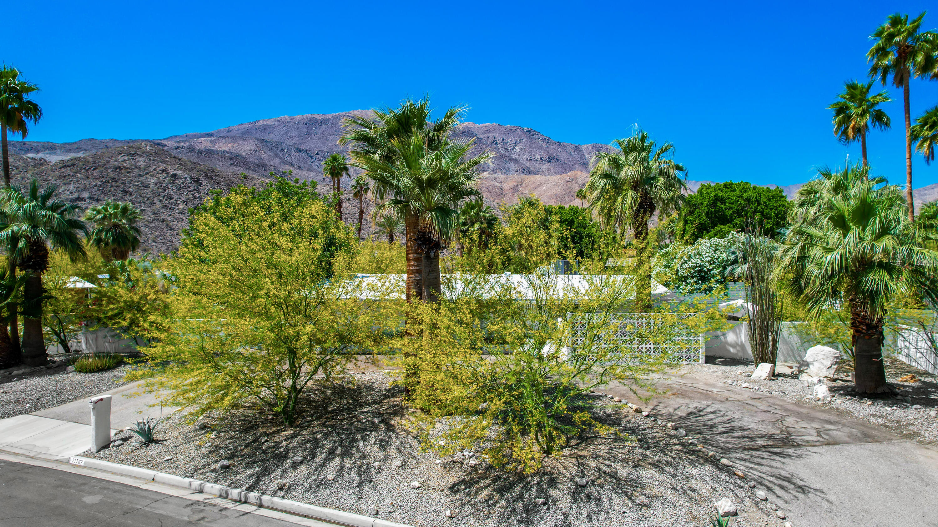71767 Tunis Road Rancho Mirage, CA 92270 - Photo 4 of 30 a view of a yard with a tree