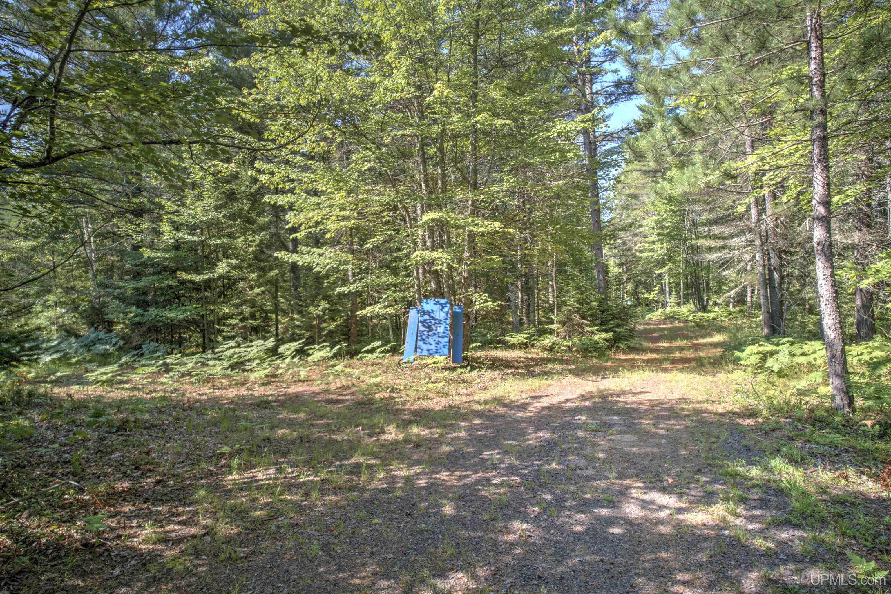 Tbd Rice Lake Road Lake Linden, MI 49945 - Photo 5 of 15 Gallery Image 5