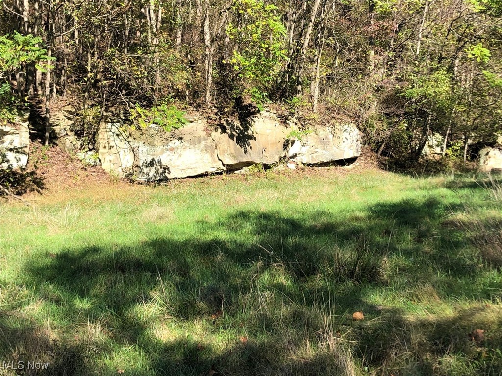 1006 Midvale Mine Road Southeast Dennison, OH 44621 - Photo 5 of 11