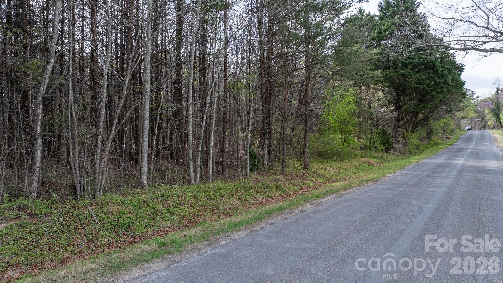 Tbd Joe Branch Road Nebo, NC 28761 - Photo 11 of 20