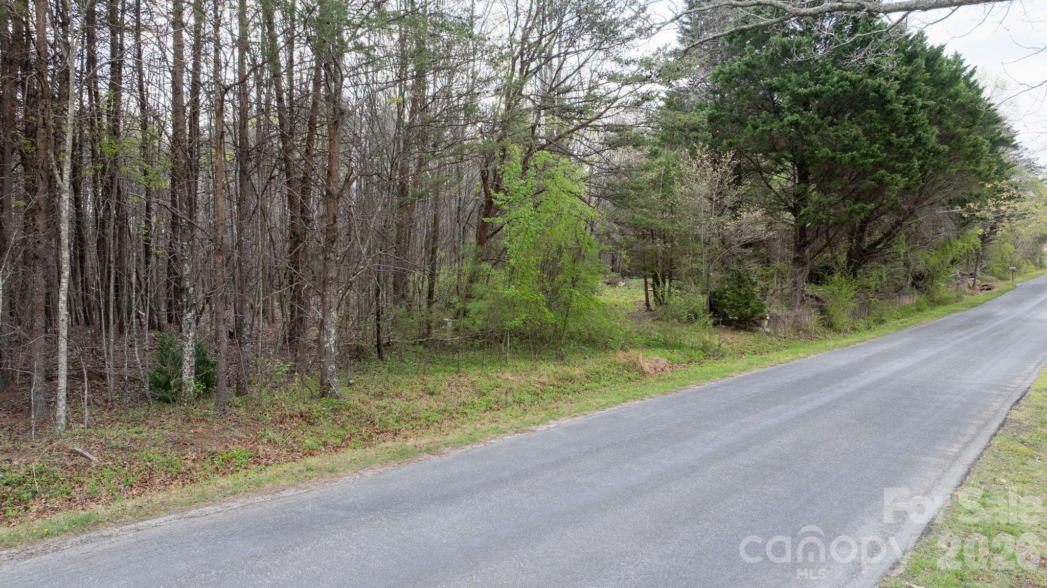 Tbd Joe Branch Road Nebo, NC 28761 - Photo 12 of 20