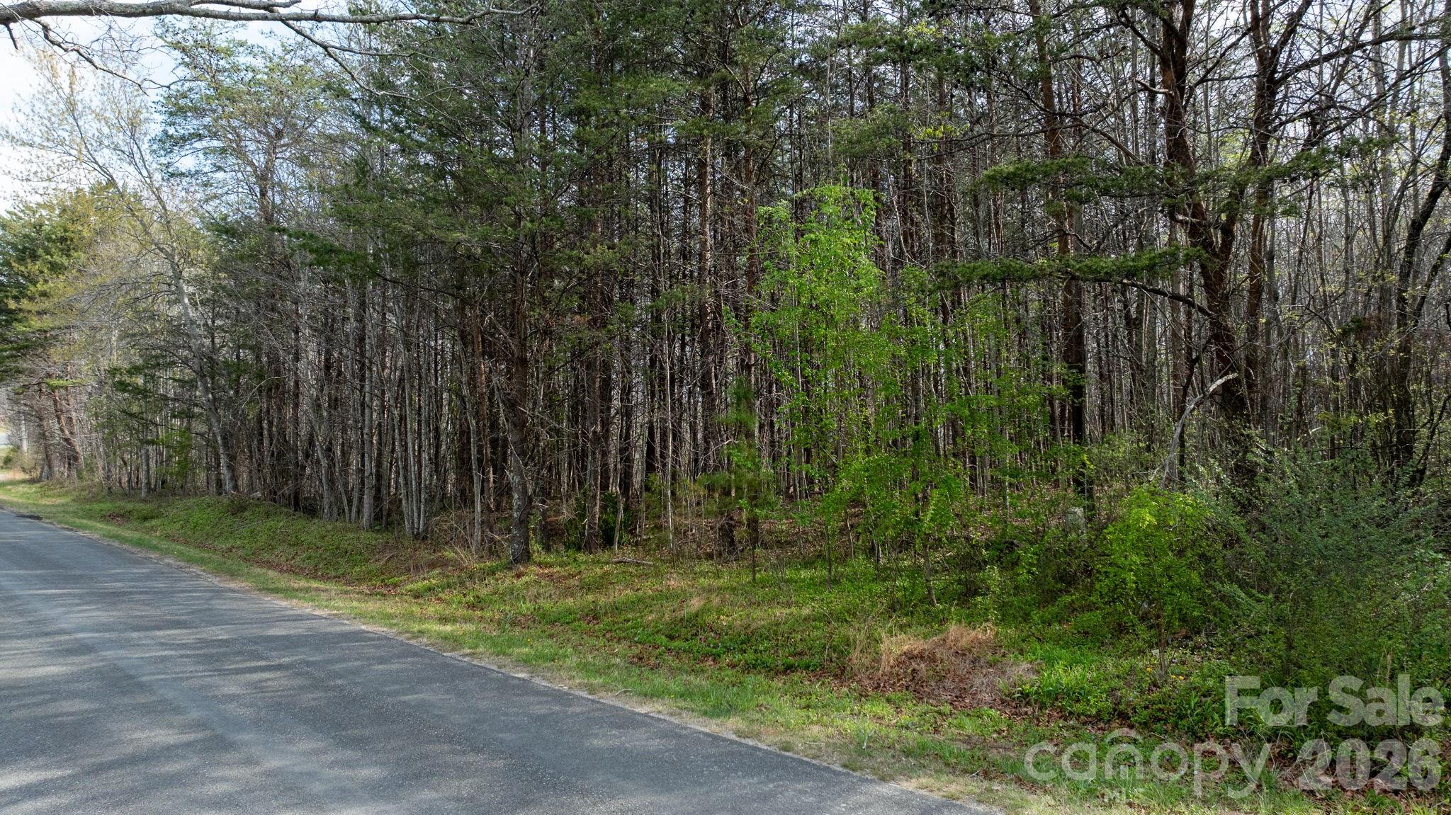 Tbd Joe Branch Road Nebo, NC 28761 - Photo 13 of 20