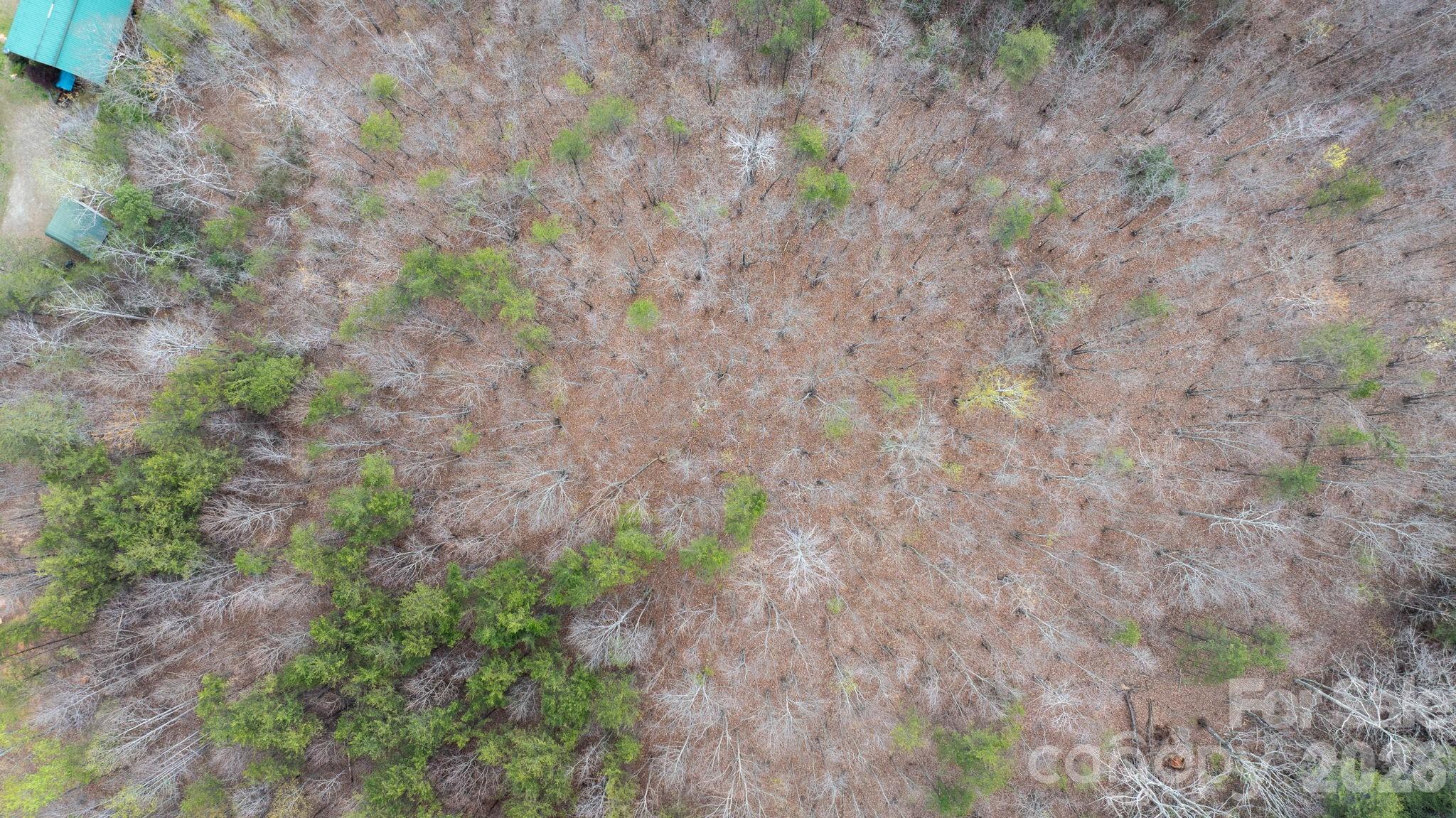 Tbd Joe Branch Road Nebo, NC 28761 - Photo 19 of 20