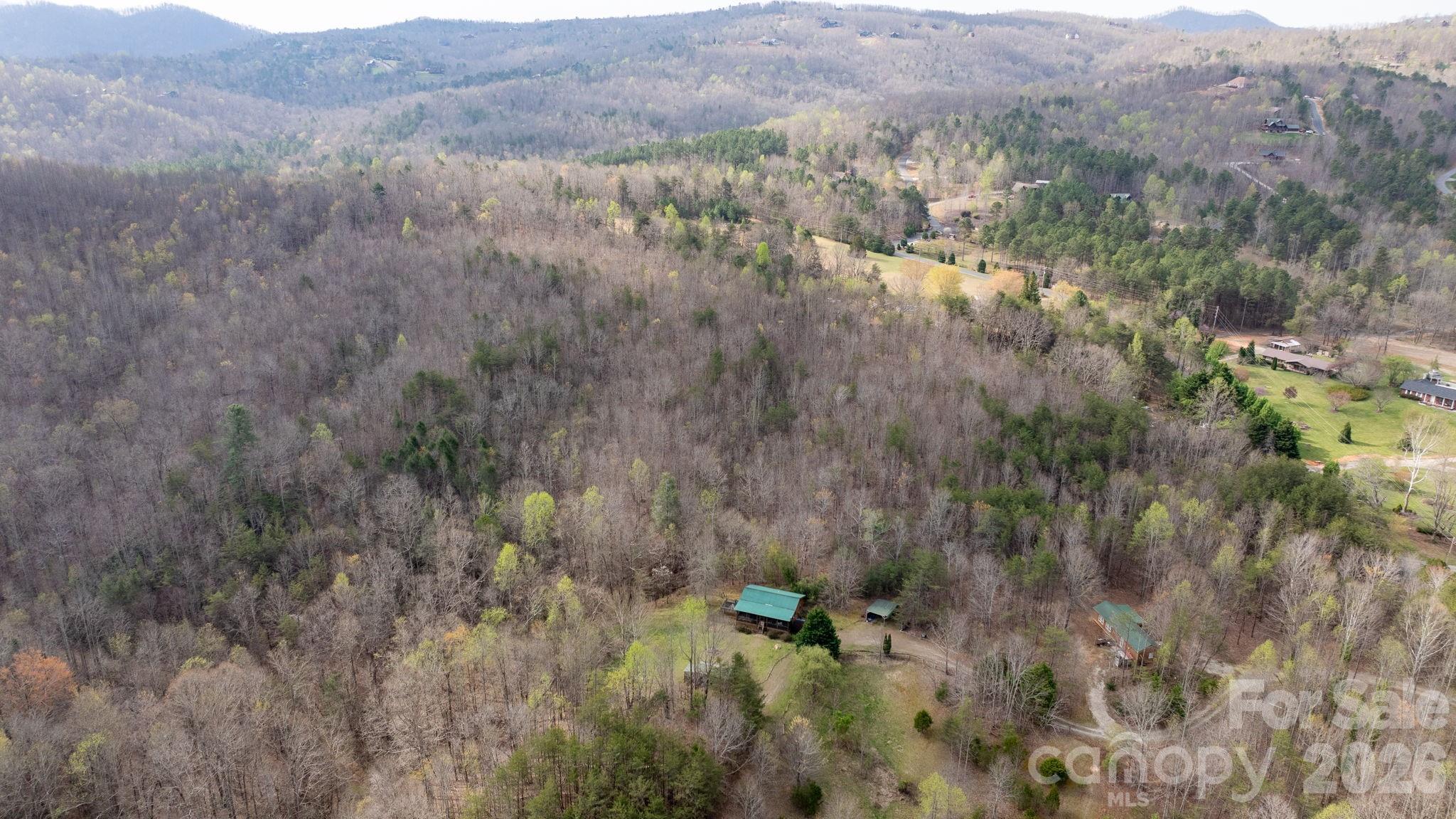 Tbd Joe Branch Road Nebo, NC 28761 - Photo 4 of 20