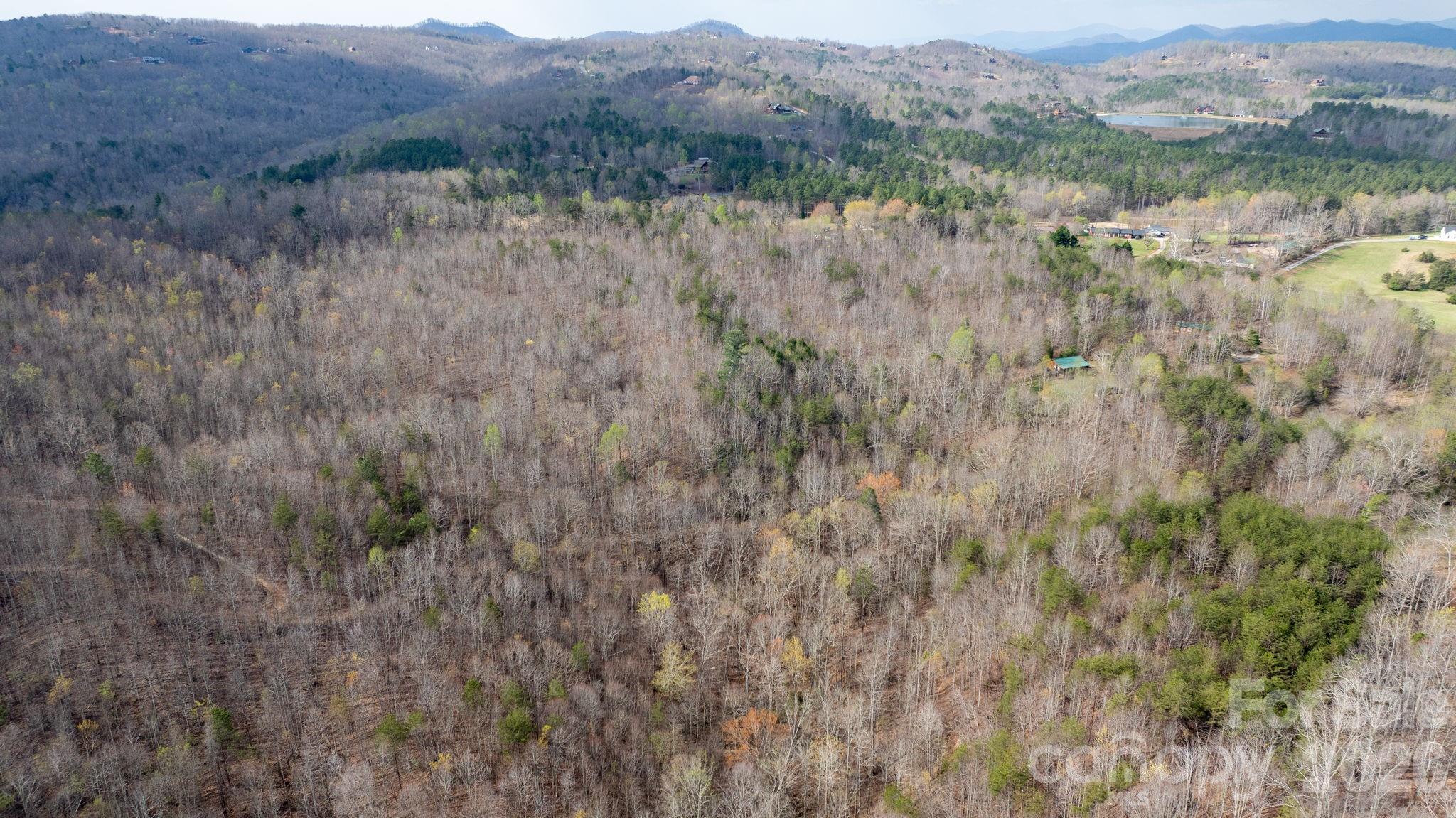 Tbd Joe Branch Road Nebo, NC 28761 - Photo 5 of 20