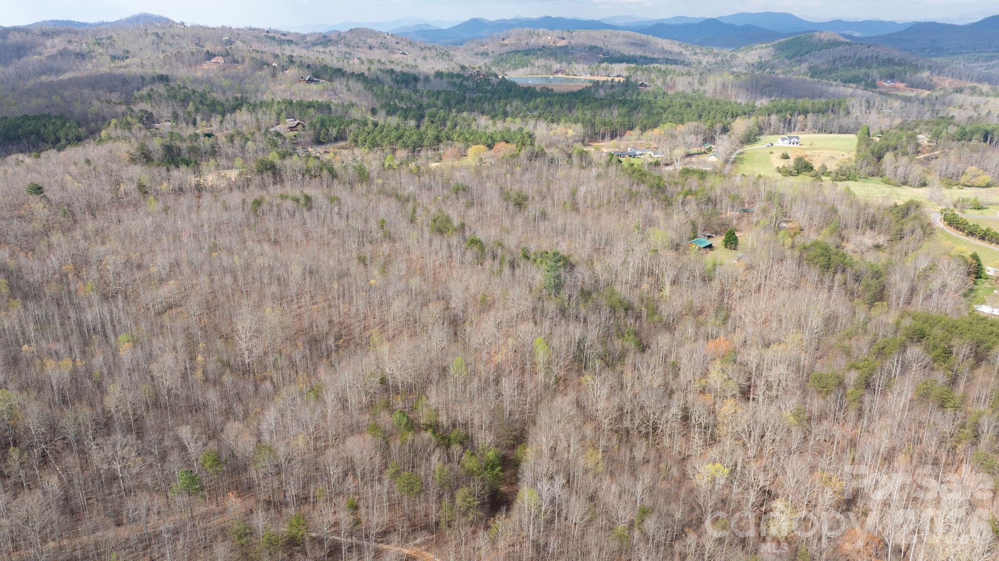 Tbd Joe Branch Road Nebo, NC 28761 - Photo 6 of 20