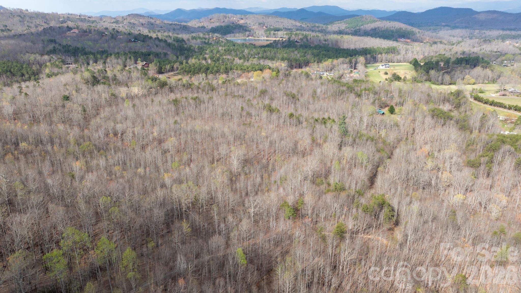 Tbd Joe Branch Road Nebo, NC 28761 - Photo 7 of 20