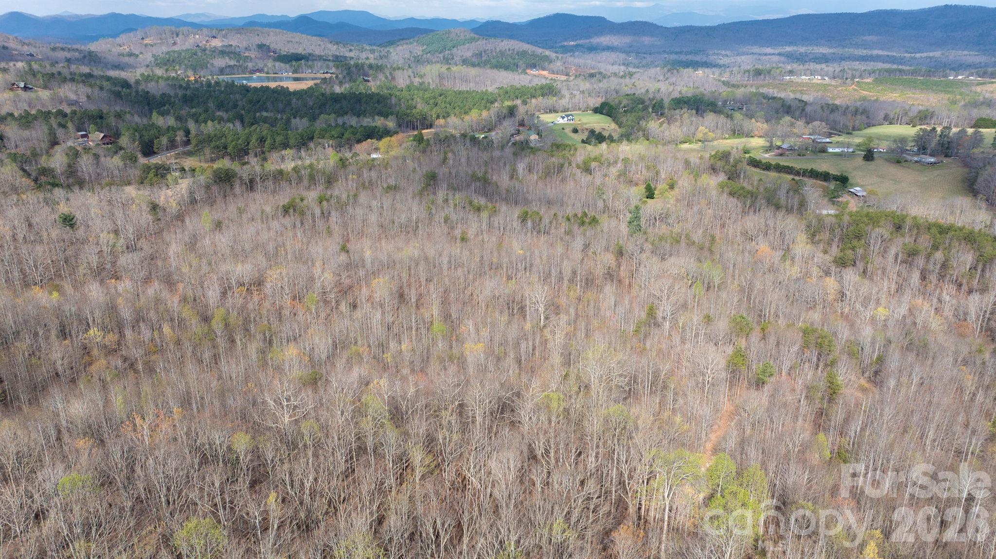 Tbd Joe Branch Road Nebo, NC 28761 - Photo 8 of 20