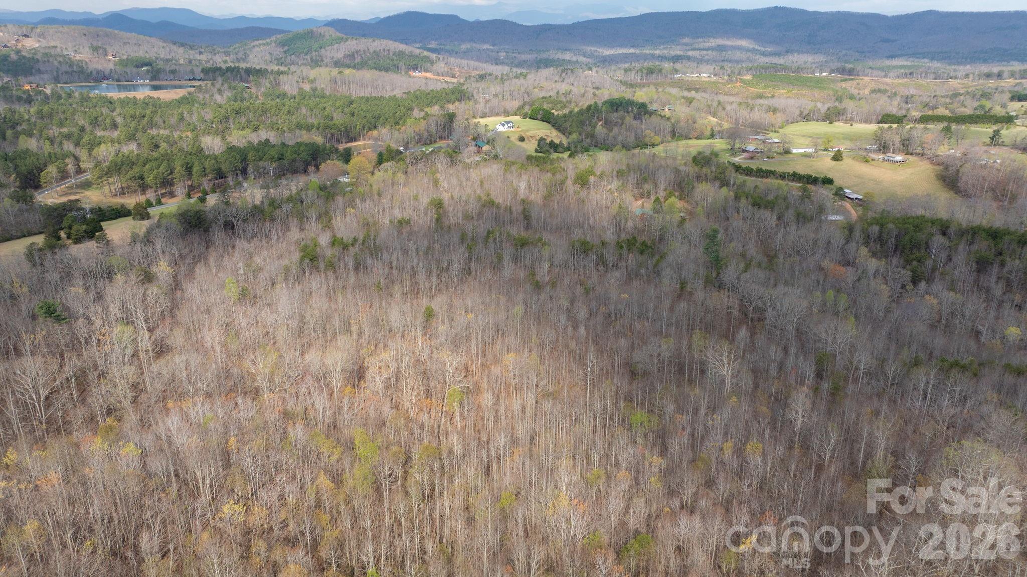 Tbd Joe Branch Road Nebo, NC 28761 - Photo 9 of 20