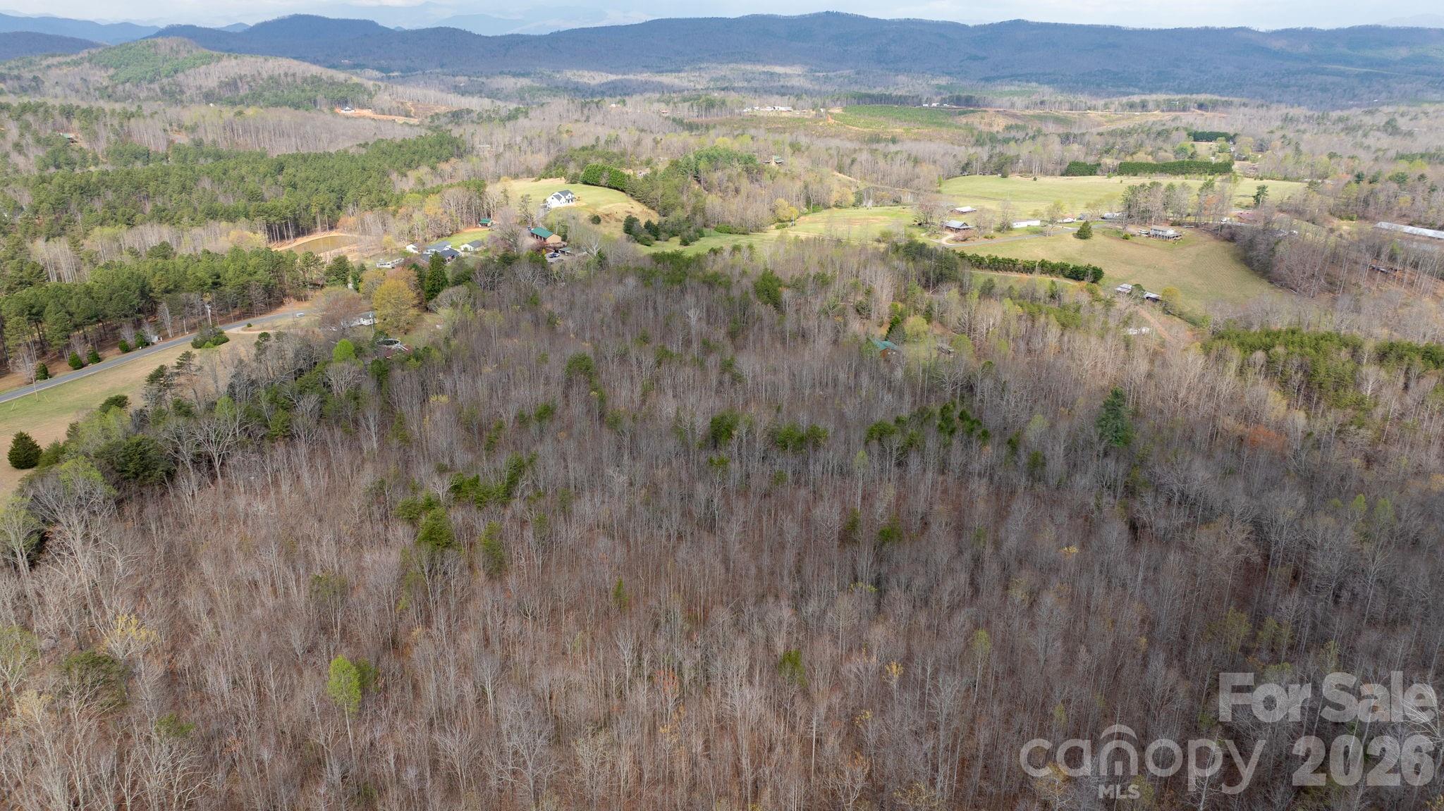 Tbd Joe Branch Road Nebo, NC 28761 - Photo 10 of 20
