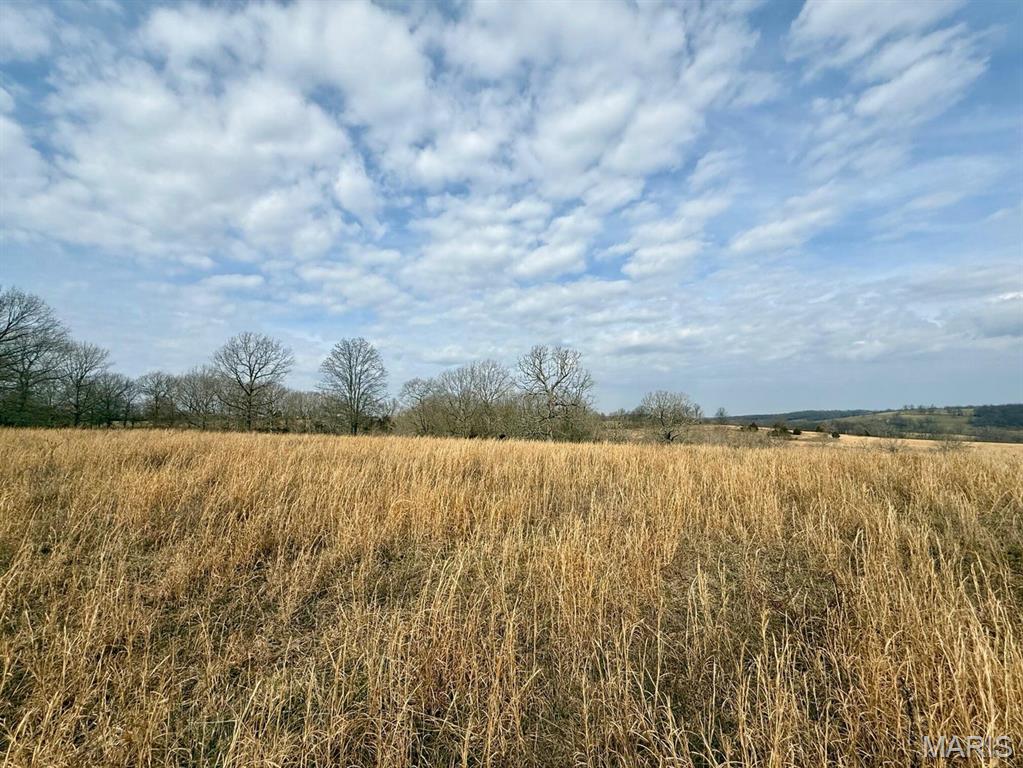 0 Barnum Drive Cabool, MO 65689 - Photo 3 of 12