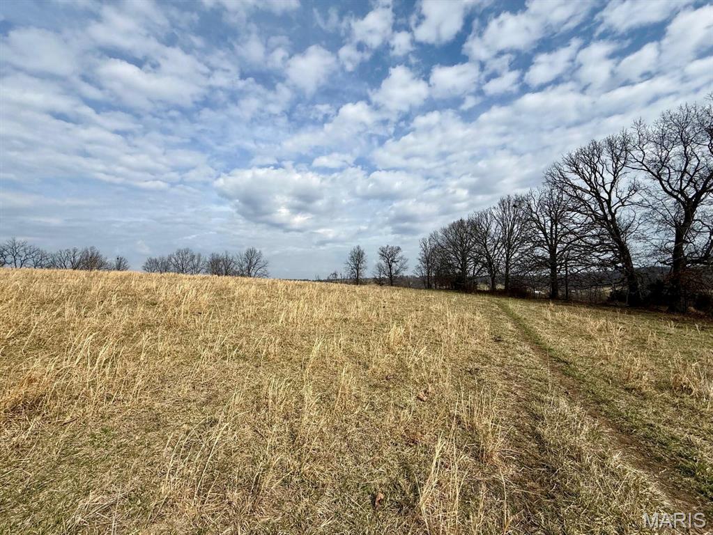 0 Barnum Drive Cabool, MO 65689 - Photo 4 of 12