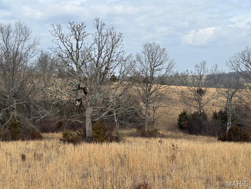 0 Barnum Drive Cabool, MO 65689 - Photo 5 of 12