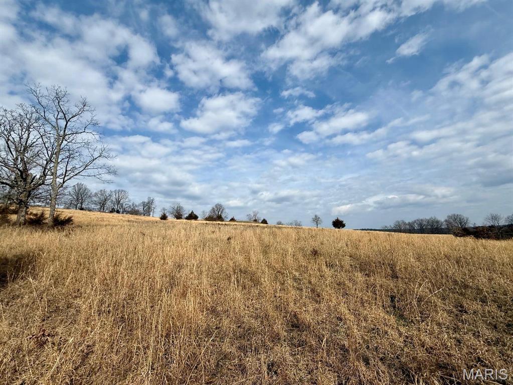 0 Barnum Drive Cabool, MO 65689 - Photo 6 of 12