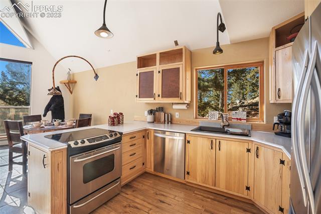 416 Blue Spruce Road Divide, CO 80814 - Photo 24 of 50 Gallery Image 24
