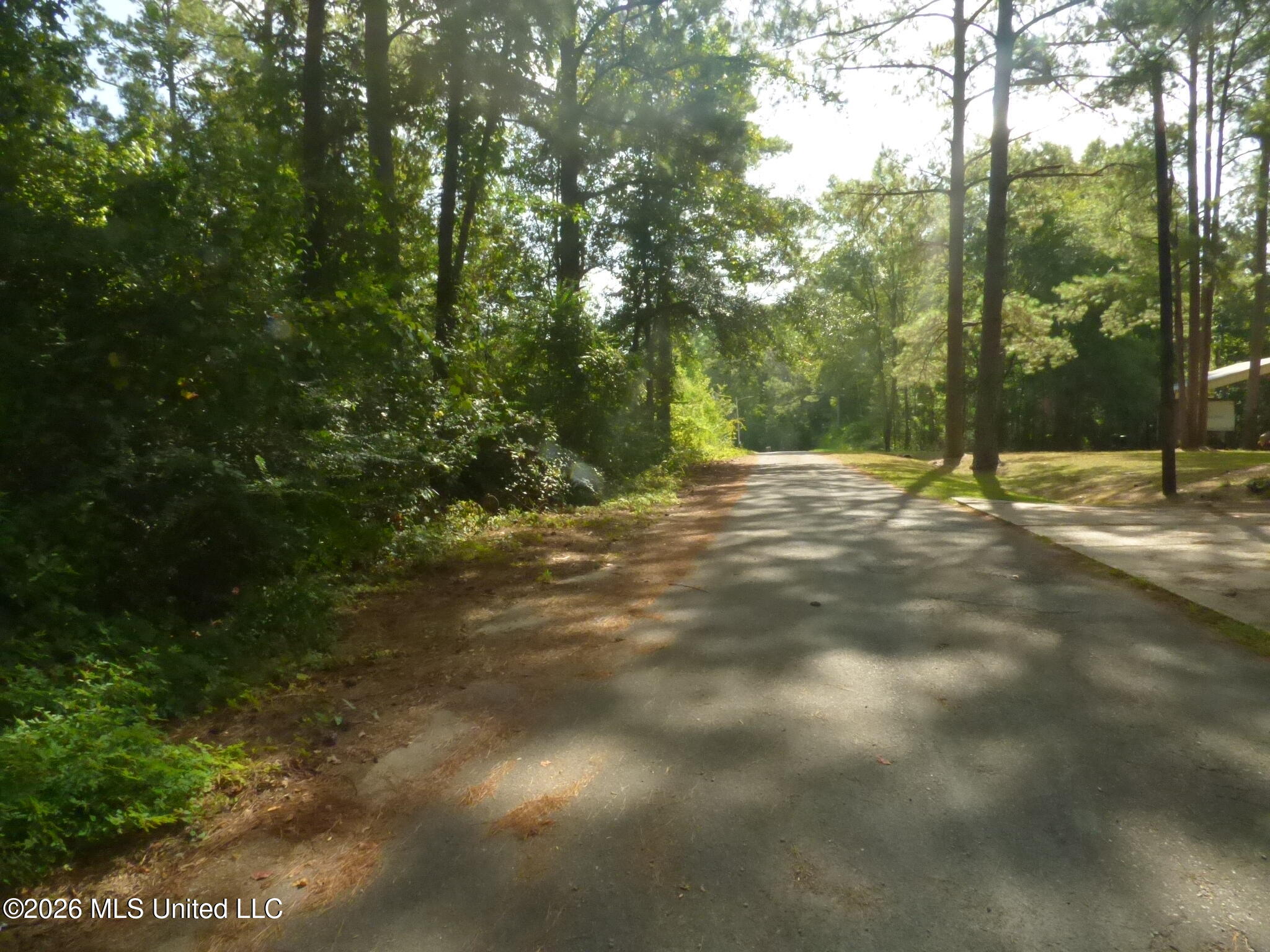 Cedar Drive Monticello, MS 39654 - Photo 5 of 5 P1350880