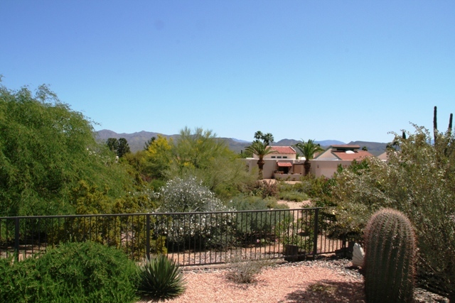18606 East Mazatzal Circle Rio Verde, AZ 85263 - Photo 11 of 11 View from back patio