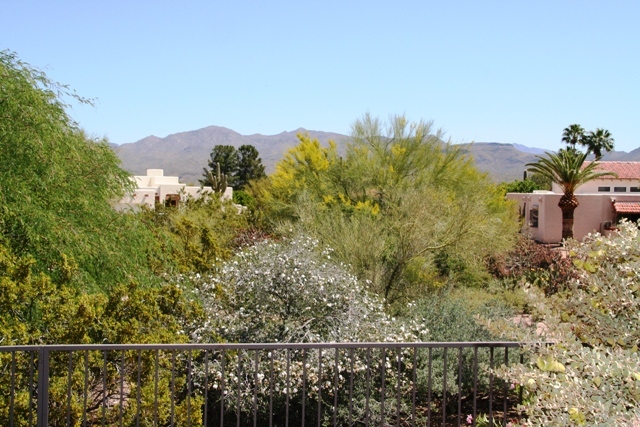 18606 East Mazatzal Circle Rio Verde, AZ 85263 - Photo 10 of 11 Mountain and desert views