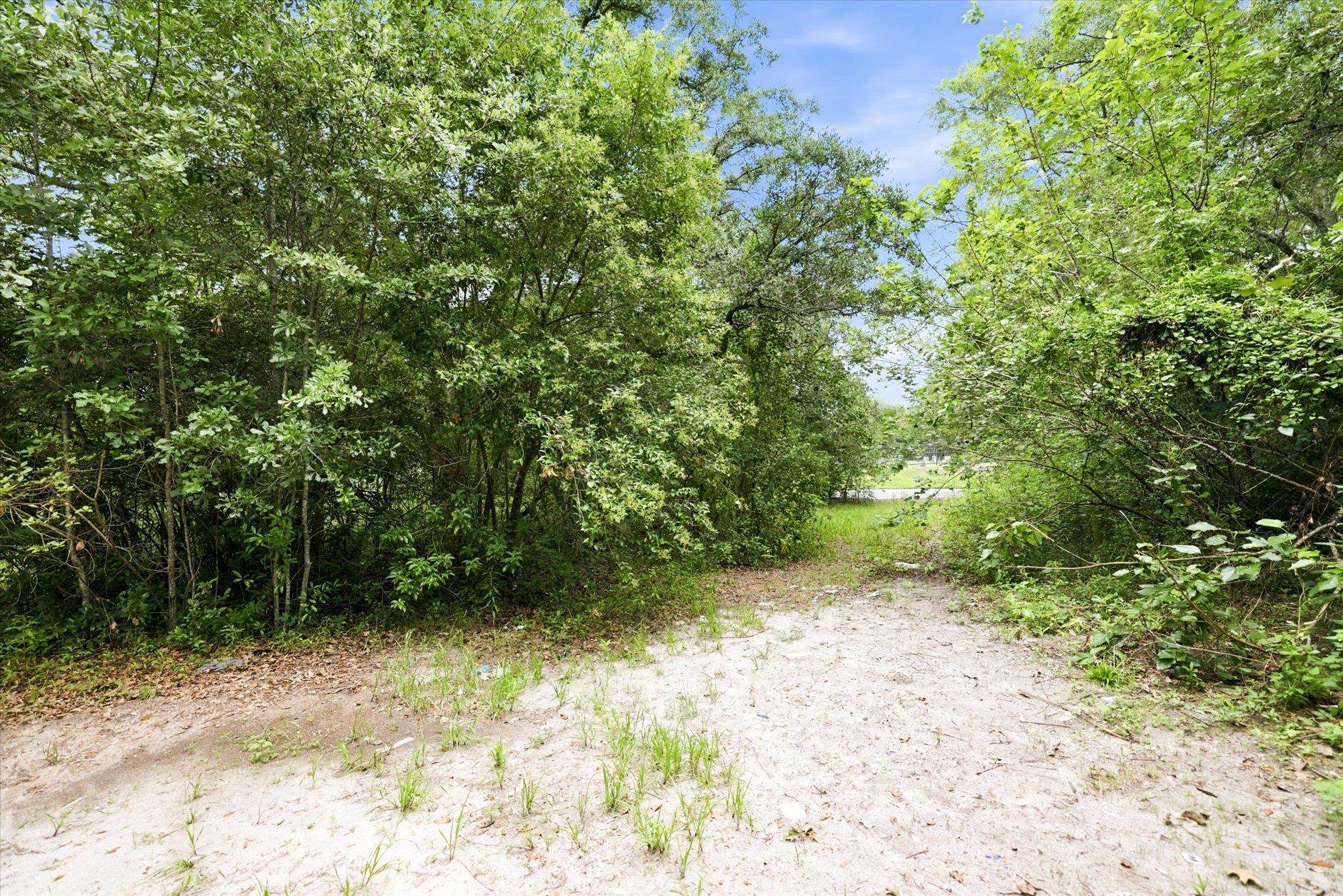 1612 Old Bainbridge Road Tallahassee, FL 32303 - Photo 23 of 43