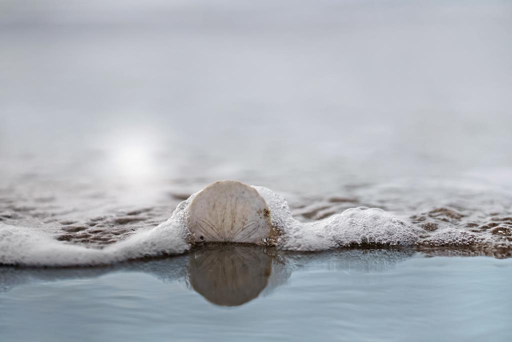 101 Shell Road, Unit 248 Watsonville, CA 95076 - Photo 23 of 28 a view of water heater in a floor