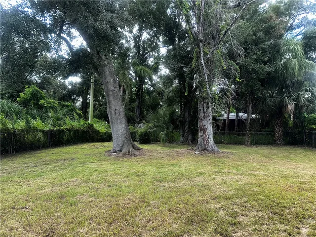 a tall tree is standing in the middle of a yard
